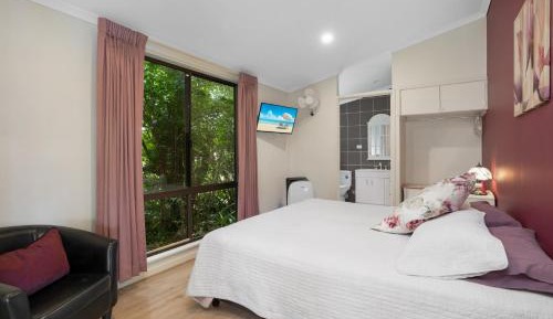 Deluxe Double or Twin Room with Garden View