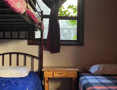 Single Bed in Mixed Dormitory Room