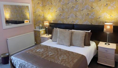 Superior King Room with Private Bathroom