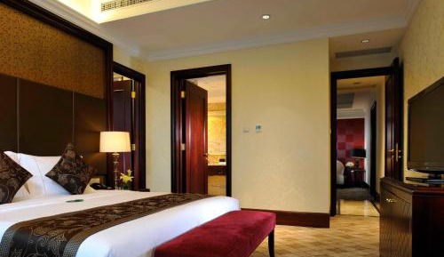 Comfort Suite