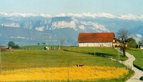 Studio with Mountain View
