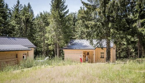 Hut with sleeping loft  