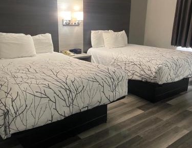 Queen Room with Two Queen Beds