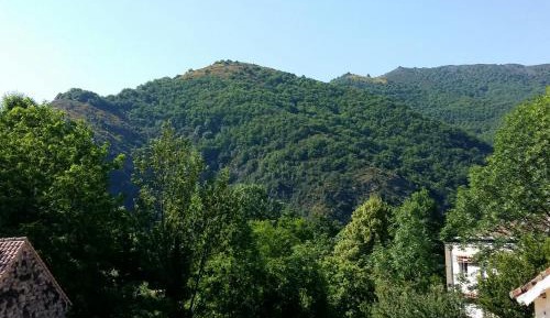 Double Room with Mountain View