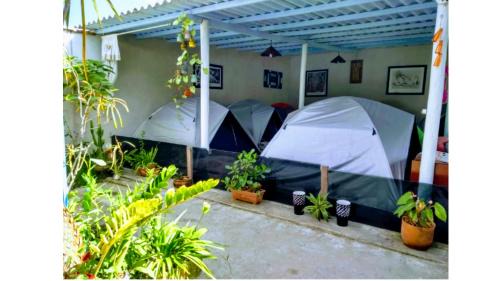 Tent