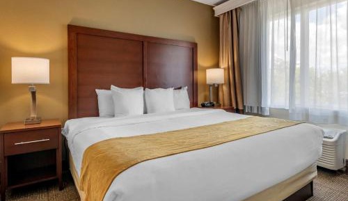 King Suite with Sofa Bed - Non-Smoking