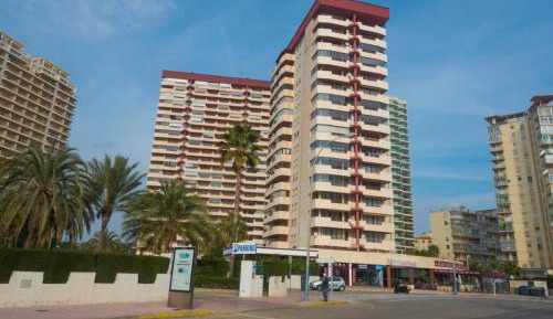 Superior One-Bedroom Apartment