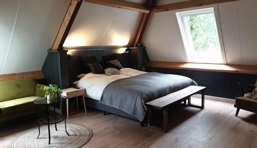 Large Double or Twin Room