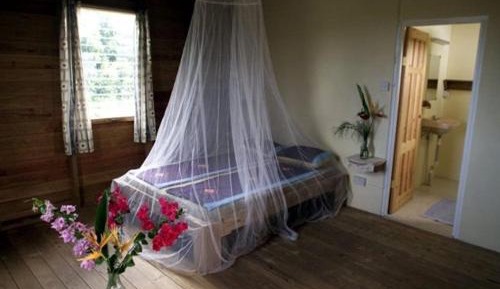 Double or Twin Room with Sea View