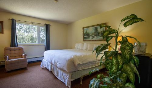 King Room - Non-Smoking