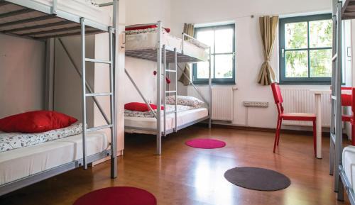 Bed in 6-Bed Dormitory Room