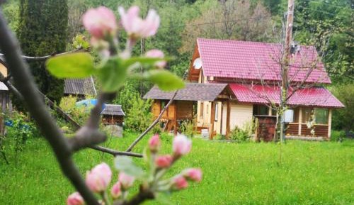 Vacation Home