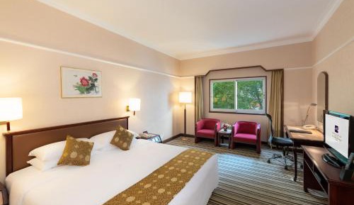Standard King Room
