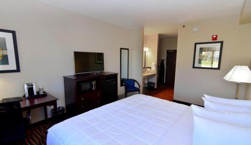 Standard King Room