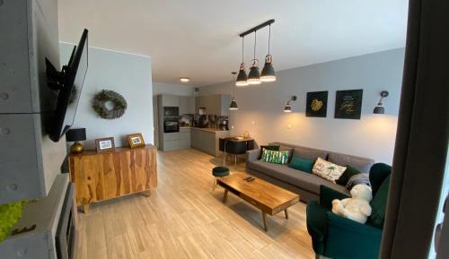 Deluxe One-Bedroom Apartment