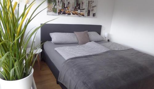 Apartment - Split Level