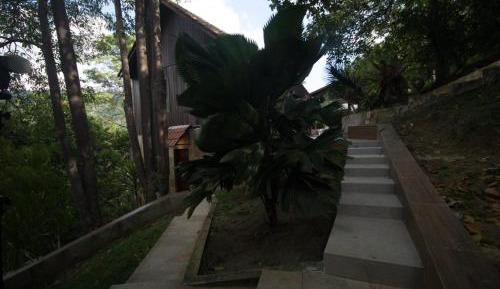 Standard Villa