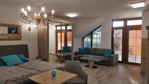 Studio with Terrace