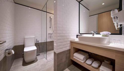 Double Plus Room (Twin) - Daily