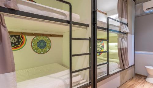 Bed in 4-Bed Mixed Dormitory Room with Shared Bathroom (No Window)