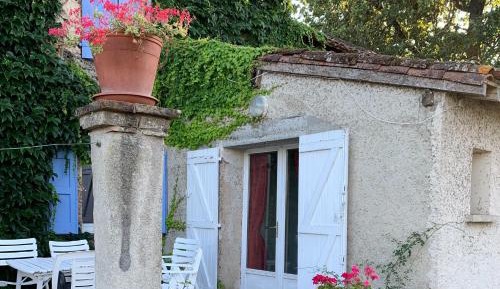 Suite with Terrace