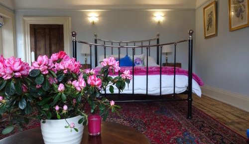 King Room with Garden View