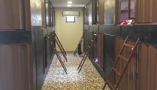 Queen Room
