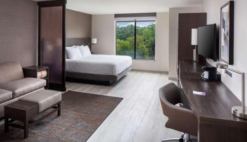 King Room with Sofa Bed