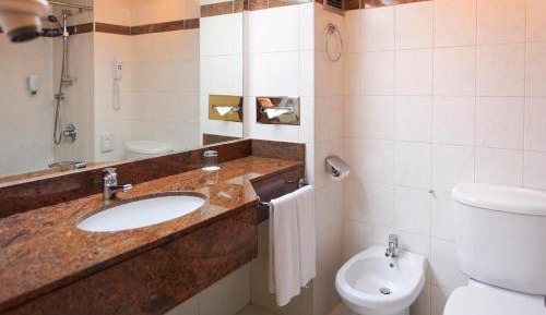 Superior Double or Twin Room with City View