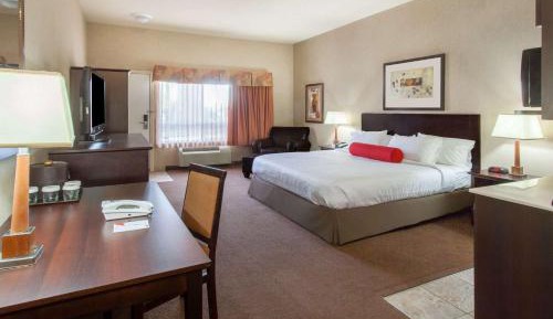 King Room - Disability Access - Non-Smoking