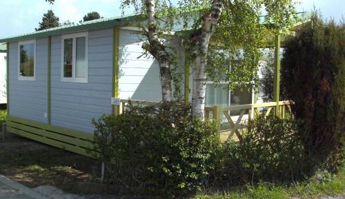 Mobile Home