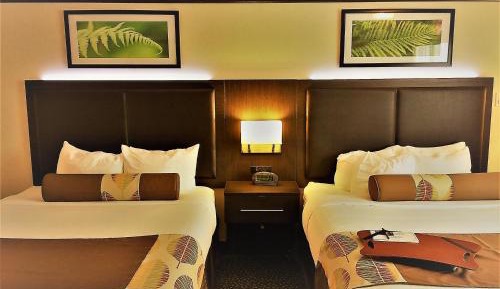Queen Room with Two Queen Beds - Ground Level