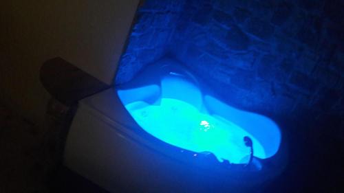 Queen Suite with Spa Bath