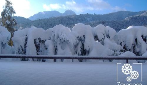 Suite with Mountain View