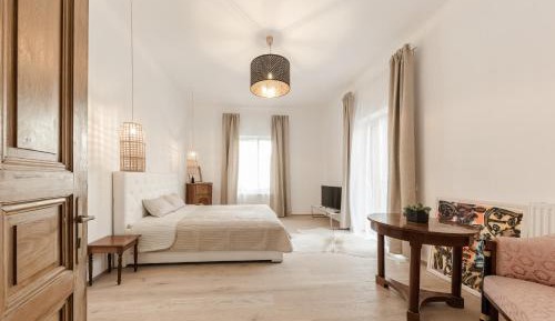 Superior One-Bedroom Apartment