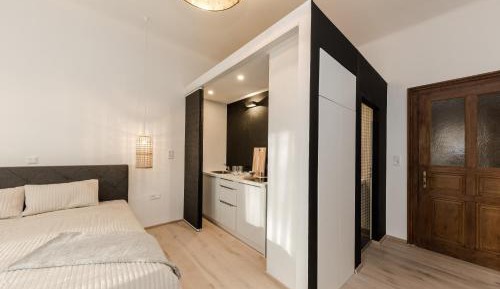 One-Bedroom Deluxe Apartment
