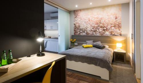 Studio Apartment