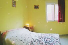 Las Palmas de Gran Canaria House | Green Sheep Guest House (double room)