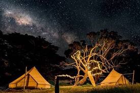 Ventnor Other | Sheltered Glamping Phillip Island - 'Adèlie' tent