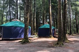 Forks Other | Isaac’s Yurt at Hoh Rainforest Resort