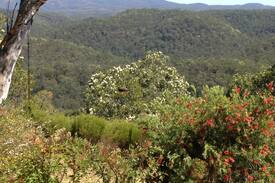 Wheeny Creek Cabin | Kurrajong Trails & Cottages