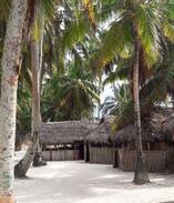 Carti Tupile Other | Tuba Senika Franklin Island Dorm Instant booking
