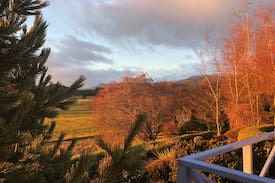 Mole Creek Apartment | Mole Creek Hideaway Boutique Mountain View Suite