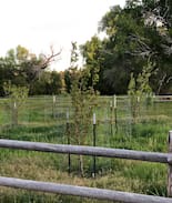 Beaver House | The Sheep Ranch at North Creek