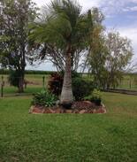 Clare House | Queen Bed & Breakfast in Clare Qld