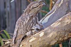 Kalbarri Apartment | KUARLU....UNIT 1 is not dog friendly, refer to U2
