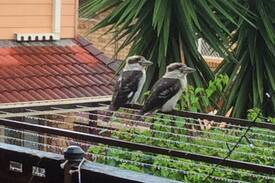 Banora Point Apartment | Banora Point close to everything