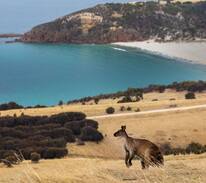 Duncan House | Snelling Beach Escape - sea views on 520 acre farm