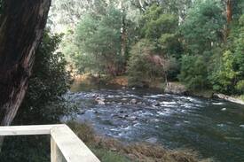 Warburton House | Willows, A Cottage on the River