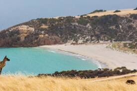 Duncan House | Snelling Beach Escape - sea views on 520 acre farm